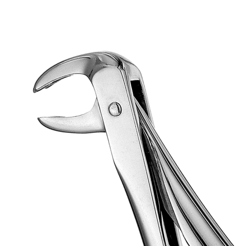 Hu-Friedy 73 European Style Forceps, Serrated | SurgiMac Dental Supply