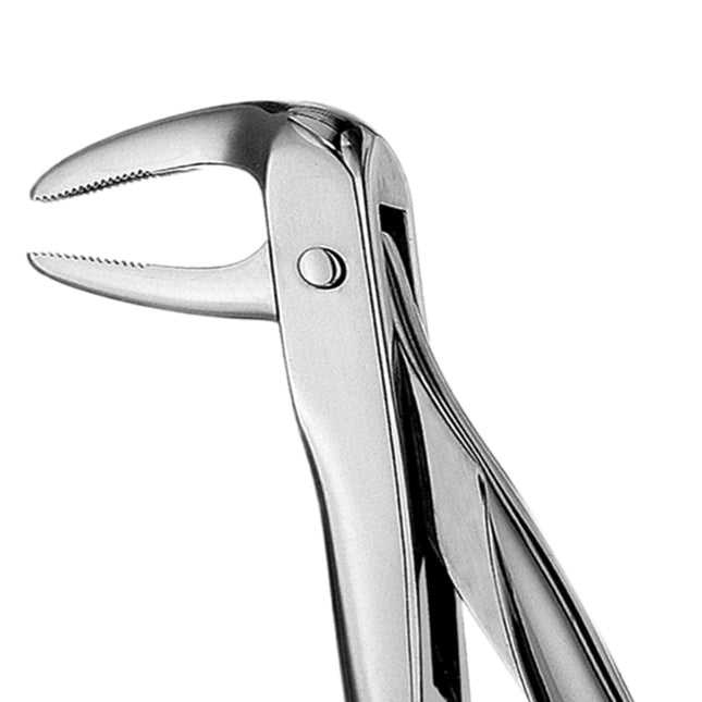 Hu-Friedy 74N European Style Root Forceps, Serrated | SurgiMac Dental Supply