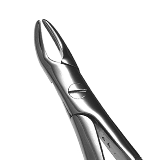 Hu-Friedy 76S European Style Root Forceps, Serrated | SurgiMac Dental Supply