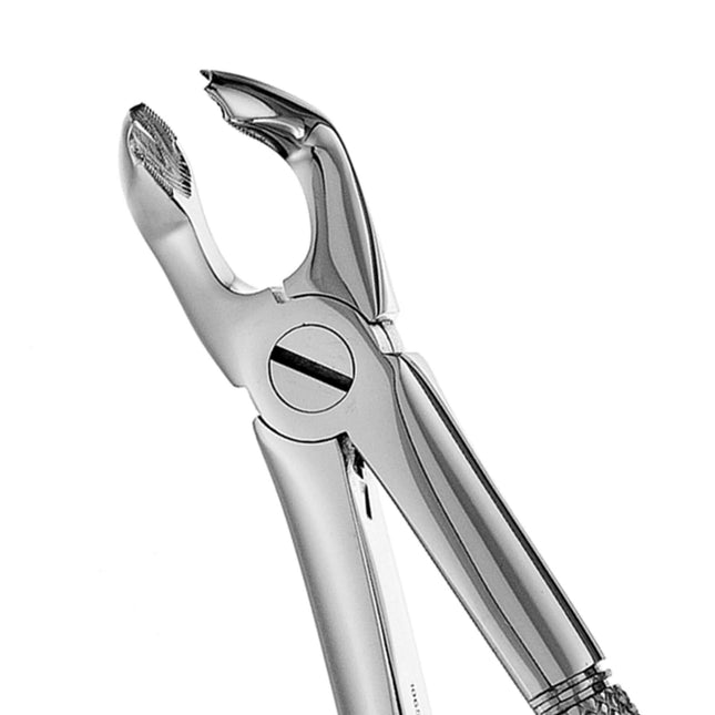 Hu-Friedy 79 European Style Forceps, Serrated | SurgiMac Dental Supply