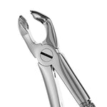 Hu-Friedy 79 European Style Forceps, Serrated | SurgiMac Dental Supply