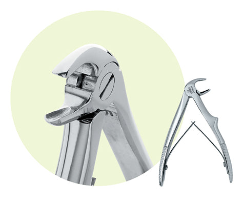 Premier Child Size #C1 Mandibular Extracting Forceps, For Laterals