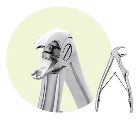 Premier Child Size #C2 Mandibular Extracting Forceps, For 1st and 2nd Molars