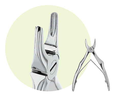 Premier Child Size #C4 Maxillary Extracting Forceps, For Laterals