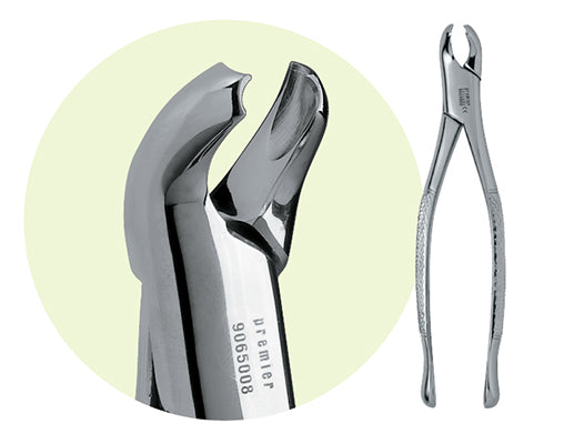 Premier #17 Mandibular Forceps, for 1st and 2nd Molars