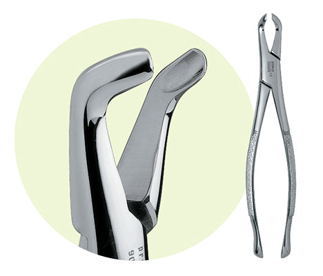 Premier #222 Adult Mandibular Forceps, for 3rd Molars
