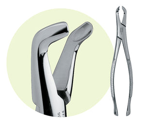Premier #222 Adult Mandibular Forceps, for 3rd Molars