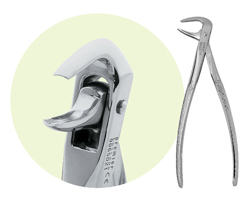 Premier #74 Mandibular Forceps, For Roots, Incisors, Canines and Premolars