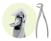 Premier #74 Mandibular Forceps, For Roots, Incisors, Canines and Premolars