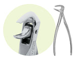 Premier #74 Mandibular Forceps, For Roots, Incisors, Canines and Premolars