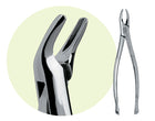 Premier #101 Maxillary Extracting Forceps, for Premolars