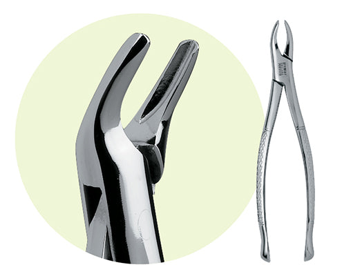 Premier #101 Maxillary Extracting Forceps, for Premolars