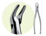 Premier #101 Maxillary Extracting Forceps, for Premolars