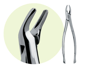 Premier #101 Maxillary Extracting Forceps, for Premolars
