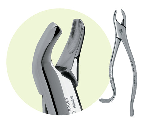 Premier #18L Maxillary Forceps, for 1st and 2nd Molars