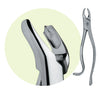 Premier #18R Maxillary Forceps, for 1st and 2nd Molars