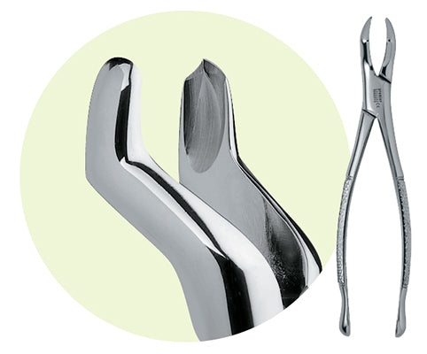 Premier #53L Maxillary Forceps, for 1st and 2nd Molars
