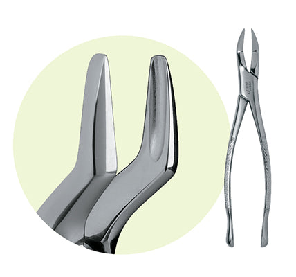 Premier #65 Maxillary Roots Extracting Forceps, For Roots and Incisors