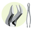 Premier #88L Maxillary Extracting Forceps, for 1st and 2nd Molars