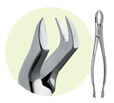 Premier #88L Maxillary Extracting Forceps, for 1st and 2nd Molars