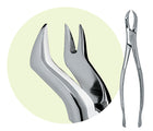 Premier #88R Maxillary Extracting Forceps, for 1st and 2nd Molars
