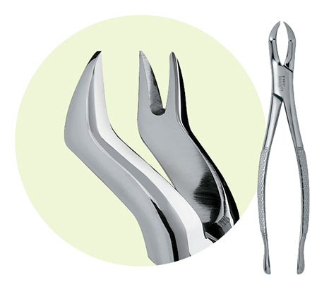 Premier #88R Maxillary Extracting Forceps, for 1st and 2nd Molars