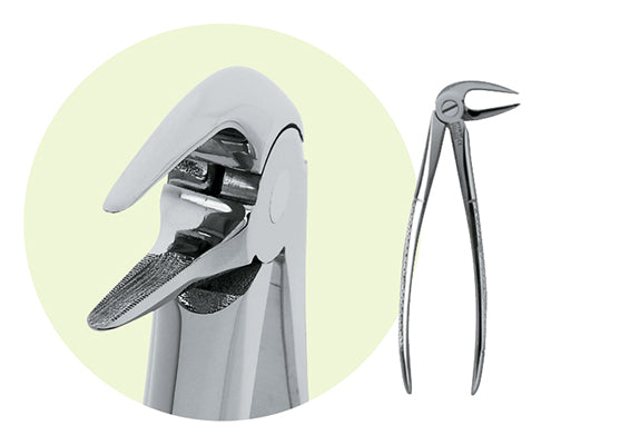 Premier Lower Root Grip Root Forceps