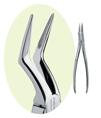 Premier Upper Root Grip Root Forceps