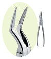 Premier Upper Root Grip Root Forceps
