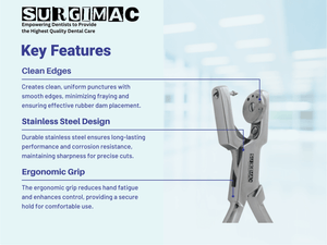 Ainsworth Rubber Dam Punch, Stainless Steel, Air Series, 1/Pk 12-1101