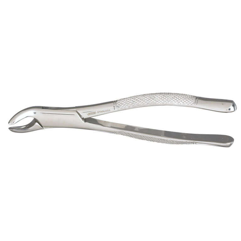 Miltex Vantage #151 SG (serrated) lower incisors, bicuspids, and roots surgical forceps | SurgiMac Dental Supply