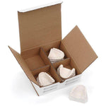Model Storage Box | SurgiMac Dental Supply