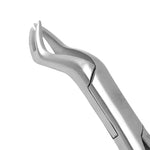 SurgiMac #88R Universal Extracting Forceps, Stainless Steel, American Pattern, Pro Series, 1/Pk 12-1752