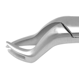SurgiMac #88R Universal Extracting Forceps, Stainless Steel, American Pattern, Pro Series, 1/Pk 12-1752