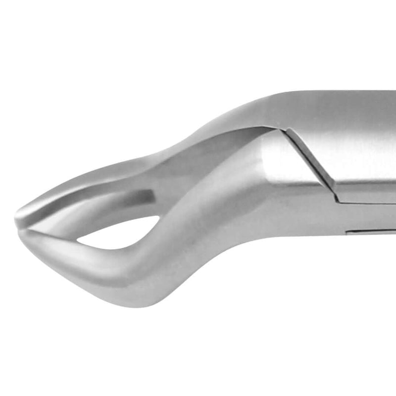 SurgiMac #88L Universal Extracting Forceps, Stainless Steel, American Pattern, Pro Series, 1/Pk 12-1751