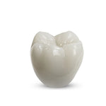 Rodin RapidCeram, Shade 0M3, 300g Bottle
