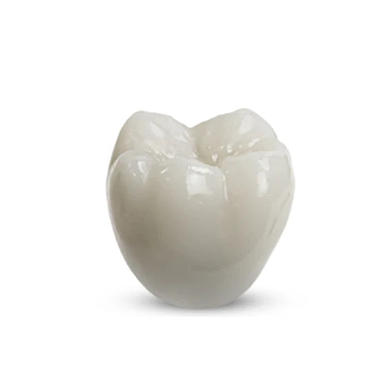 Rodin RapidCeram, Shade 0M3, 300g Bottle