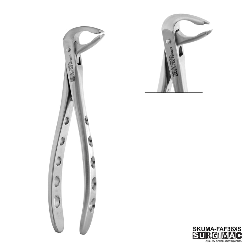 SurgiMac #36 Forceps, Lower Incisors & Canines, Atraumair, Stainless Steel, Air Series, 1/Pk | SurgiMac Dental Supply