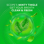 Crest Scope Mouthwash, 36 ML Bottle, Original Mint 80366807-1