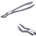 SurgiMac #51 Root Forceps, European Style
