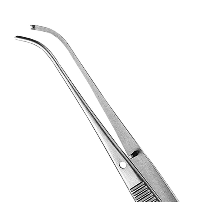 Hu-Friedy 34, 1X2 Curved Semkin-Taylor Tissue Pliers | SurgiMac Dental Supply