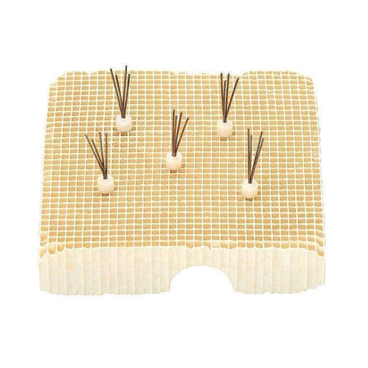V Pegs | SurgiMac Dental Supply