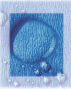 Crosstex 20" x 20" CSR Sterilization Wrap 500/Pk. Use with EtO, steam, gamma