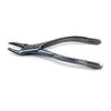 House Brand #150S Pedo Universal Extraction Forceps, For Upper Primary Teeth
