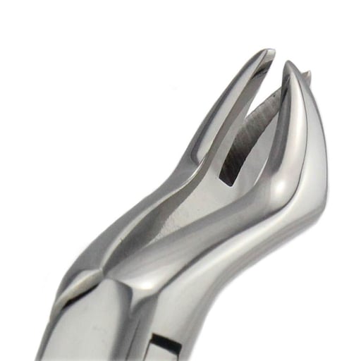 Generic Brand Forceps for Adults #88L