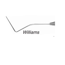 House Brand Williams Single End Probe with Standard Handle
