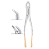 House Brand #150 Extracting Forceps, American Pattern, 100% Stainless Steel