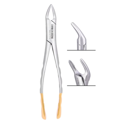 House Brand #151 Extracting Forceps, American Pattern, 100% Stainless Steel