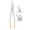House Brand #151 Extracting Forceps, American Pattern, 100% Stainless Steel