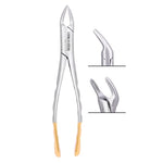 House Brand #151 Extracting Forceps, American Pattern, 100% Stainless Steel